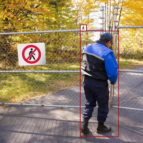 AI Cameras & Analytics